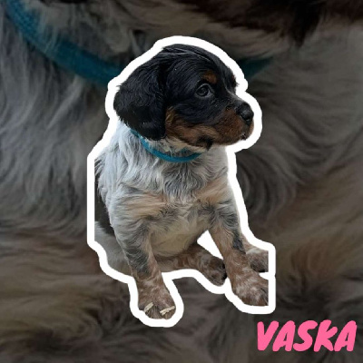 VASKA